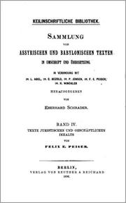 Cover of: Texte juristischen und geschäftlichen Inhalts by Felix Ernst Peiser