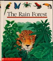 Cover of: The rain forest by René Mettler