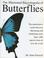 Cover of: Illustrated Encyclopedia of Butterflies