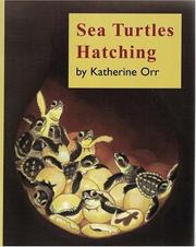 Sea Turtles Hatching by Katherine Orr