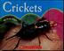 Cover of: Crickets