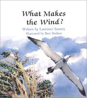 Cover of: What makes the wind?