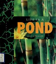 Cover of: Life in a pond by Janet Halfmann
