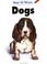 Cover of: How to Draw Dogs (How to Draw)