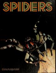 Cover of: Spiders by Lillian Bason