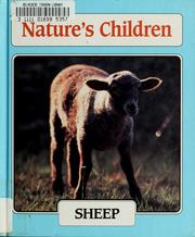 Cover of: Sheep by Dan Doyle