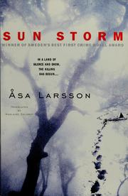 Cover of: Sun storm