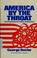 Cover of: America by the throat 