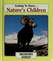 Cover of: Bighorn sheep by Bill Ivy