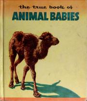 Cover of: The true book of animal babies.