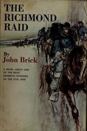 Cover of: The Richmond raid: a novel