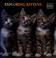 Cover of: Exploring kittens