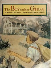 Cover of: The Boy and the Ghost by Robert D. San Souci