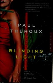 Cover of: Blinding light: [a novel]