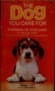 Cover of: The dog you care for
