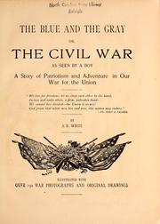 Cover of: The blue and the gray, or, The Civil War as seen by a boy: a story of patriotism and adventure in our war for the Union