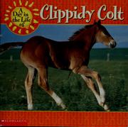 Cover of: A day in the life of Clippidy Colt