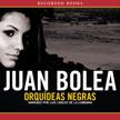 Cover of: Orquídeas Negras by 