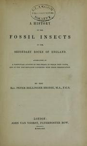 Cover of: A history of the fossil insects in the secondary rocks of England by Peter Bellinger Brodie