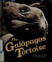 Cover of: The Galapagos tortoise | Susan Schafer