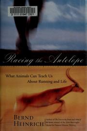 Cover of: Racing the Antelope by Bernd Heinrich