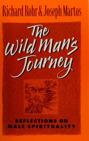 Cover of: The wild man's journey: reflections on male spirituality