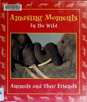 Cover of: Amusing moments in the wild: animals and their friends