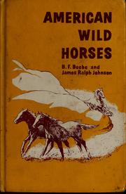 Cover of: American wild horses