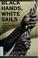 Cover of: Black hands, white sails