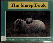 Cover of: The sheep book