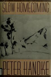 Cover of: Slow homecoming by Peter Handke