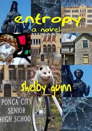 Entropy by Shelby Guinn