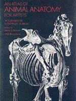 Cover of: Anatomy