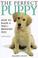 Cover of: The perfect puppy