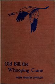 Cover of: Old Bill by Joseph Wharton Lippincott