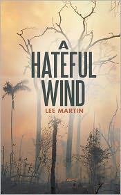 Cover of: A Hateful Wind