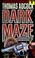 Cover of: Dark maze