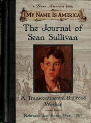 Cover of: The journal of Sean Sullivan by William Durbin