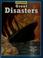 Cover of: Great disasters