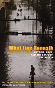 Cover of: What Lies Beneath | The South End Press Collective