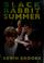 Cover of: Black Rabbit summer