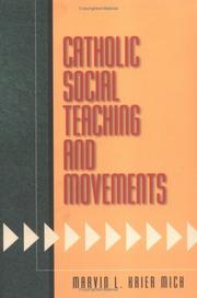Cover of: Catholic social teaching and movements by Marvin L. Krier Mich