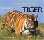 Cover of: The Way of the Tiger (Worldlife Discovery Guides)