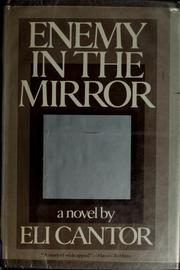 Cover of: Enemy in the mirror