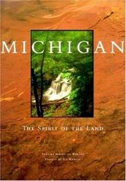 Cover of: Michigan by Kathy-jo Wargin