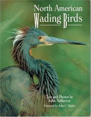 Cover of: North American wading birds