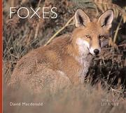 Cover of: Foxes