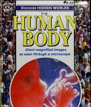 Cover of: The human body by Heather Amery