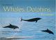 Cover of: The World of Whales, Dolphins, & Porpoises