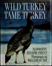 Cover of: Wild turkey, tame turkey by Dorothy Hinshaw Patent